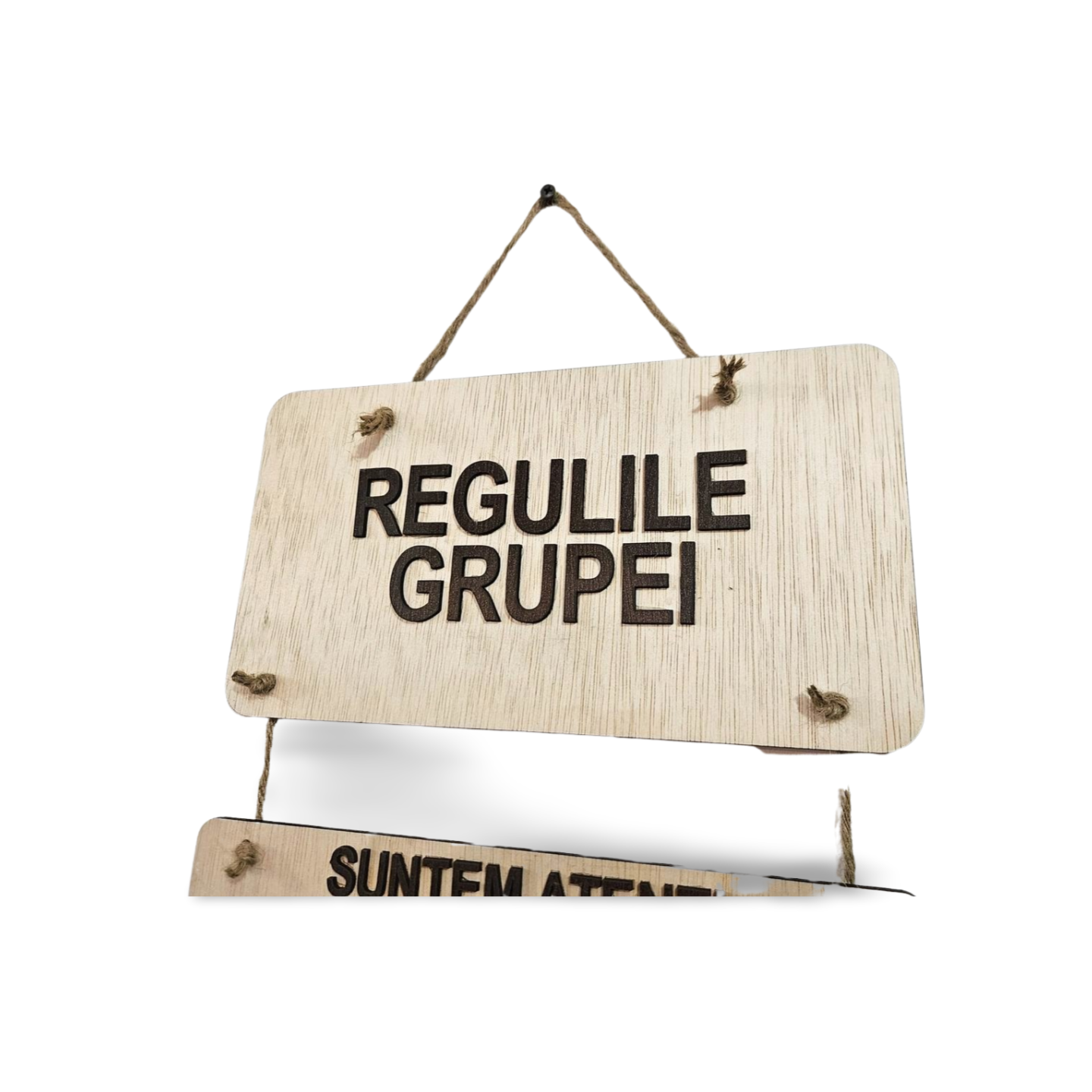 Plachetă din Lemn „Regulile Clasei/Grupei” – Decor Educațional Suspendat